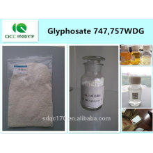 Гербицид / гербицид-глифосат 747 г / л, 757 г / л WDG, 74,7%, 75,7% WDG, кас .: 1071-83-6-lq